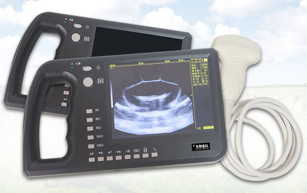 兽用b超机直肠探头都用于哪些动物？